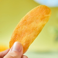 Halal Gedroogde Mango Slices 80g Geconserveerd Fruit Casual Exotische Snacks Groothandel