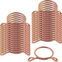 Collier de serrage à ressort de torsion en acier inoxydable à fil unique pour automobile, à verrouillage rapide, tailles en pouces/métriques, tailles personnalisées pour