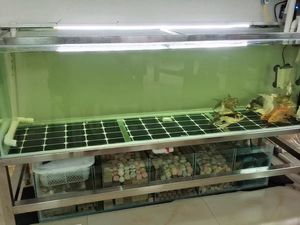 ملصق ذاتي اللصق لخلفية حوض السمك لقاع حوض الأسماك - Product Image 6