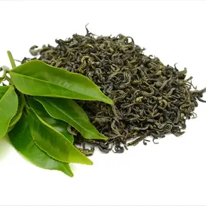 欧盟标准有机活叶绿茶仪式a级绿茶批发价