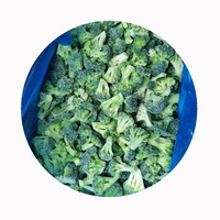 Brócoli Congelado XMSD 1 kg x 10 Paquetes por Caja para Distribución de Comestibles Importados y Programas de Venta Minorista de Formato Pequeño