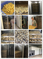 Houtdroogmachine, gemberdroger, fruitdroger, moringa bladdroger, visdroger, voedselverwerker, automatisch, hoge efficiëntie
