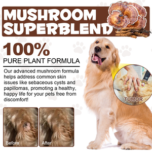 Suplementos Oimmal para Mascotas, Polvo de Hongos Vegano 100% <span class=keywords><strong>Natural</strong></span> Premium para Perros y Gatos, Apoyo Inmunológico, Cardíaco, Cerebral, Intestinal y Hepático - Product Image 5