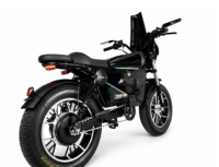 Vélo électrique rétro OWAY SK-1, pneus larges, longue portée, haute vitesse, frein hydraulique, vélo électrique pour adultes