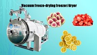 Machine de lyophilisation industrielle sous vide pour aliments pour animaux et fruits, lyophilisateur commercial avec contrôle PLC - Prix usine