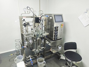 Bioreactor văn hóa của vi khuẩn 10 LÍT DIESEL sinh học sản xuất máy BLBIO-SJA - Product Image 6