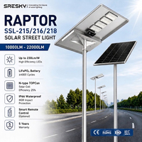 Farola Solar SRESKY para Proyectos en el Extranjero, Alta Luminosidad para Exteriores, 120W 150W 200W, Clasificación IK08, Material de Aluminio y PC