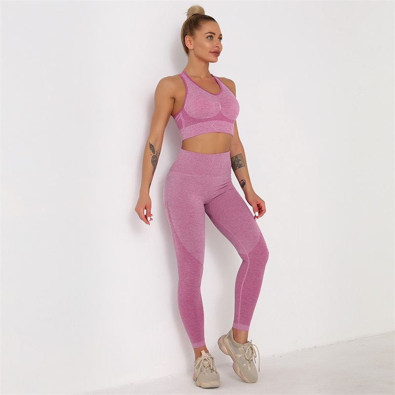 New Fashion Modern Breathable Workout Clothing Women Active Wear  Yoga Pants  BRA  5 colors