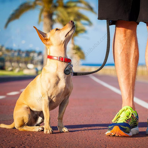 Venta al por Mayor 2025, Localizador GPS de Plástico Yuou para Mascotas, Perros y Gatos, Mini Rastreador Impermeable - Product Image 3