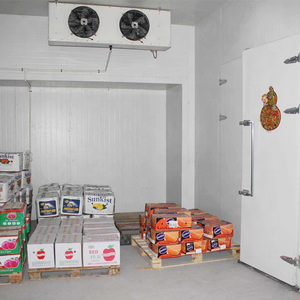 헬로 리버 브랜드의 새로운 모바일 20 피트 컨테이너 냉동고 냉장 보관실 육류 설치용 이동식 냉동 장치 - Product Image 6