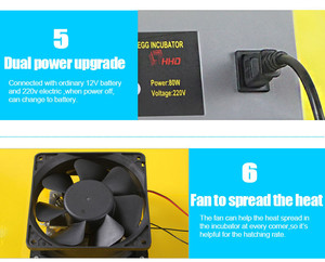 Incubadora de Huevos de Gallina Eléctrica <span class=keywords><strong>Mini</strong></span> Automática para Uso Doméstico, Máquina para Incubar <span class=keywords><strong>56</strong></span> Huevos - Product Image 6