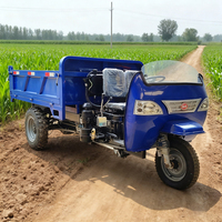 Triciclo diésel mini de 18/22/25 HP, triciclo de tres ruedas con volquete para transporte de mercancías