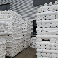 Tissu taffetas croisé 75D 190T 100% polyester imperméable, respirant, à séchage rapide, résistant aux déchirures et à l'abrasion pour manteaux