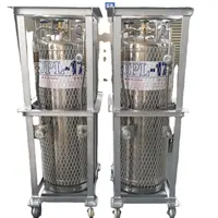 Flask térmico de nitrogênio líquido, tanque de 1.4mpa 175l dewar vgl dura ln2 para armazenamento