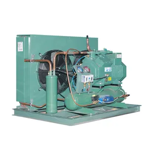 Fabriek 3hp 5hp 6hp 10hp Duitsland Luchtgekoelde Compressor Condensatie-Eenheid Voor Koelsysteem Koeling