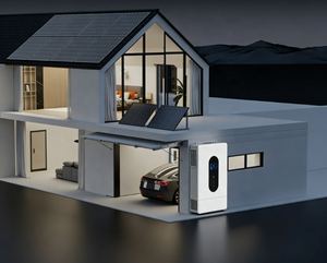 TYL TYL-6KW Système Solaire Hybride 6KW 230V Norme Européenne Monophasé Efficacité 99% 50/60Hz Stockage d'Énergie Résidentiel TYL-6KW CT - Product Image 5
