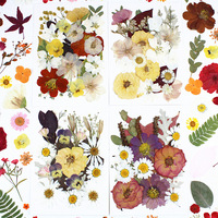 Kit de fleurs séchées pressées multi-tailles pour bricolage, matériel fait main pour moule en résine, décoration de coque de téléphone, confettis de mariage