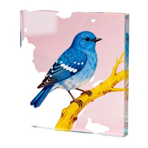 Quang Học Lớp cao cấp 8mm MMA tấm Acrylic đúc đúc cho LED ánh sáng Hộp Giải thưởng mảng nameplates màu Opaque Acrylic 50mm - Product Image 1