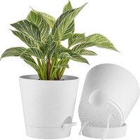 FaithLand 2-Pack Pot Tanam Plastik 8-Inci Self-Watering dengan Reservoir Dalam Desain Minimalis untuk Penggunaan Dalam/Luar Ruangan Warna Putih
