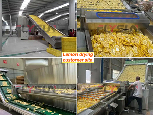 Ligne de production automatique intégrée pour le découpage, le lavage, le drainage, le séchage à bande transporteuse, le tri et l'emballage des citrons - Product Image 3