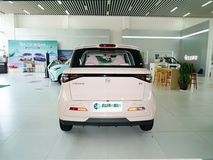 Véhicule électrique compact haute performance <span class=keywords><strong>Duomi</strong></span> modèle 2025, édition confort 305 km - Product Image 5