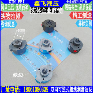 Pompe à huile cycloïdale bidirectionnelle KBBY-3-2B 2A 2.5, pompe à huile cycloïdale réversible, état d'occasion - Product Image 1