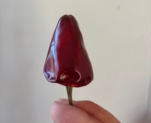 High Vitamin Chinese Dried Strawberries Chili