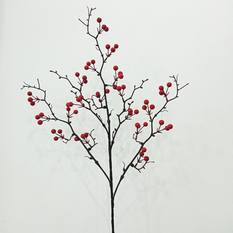 Fruit rouge 19