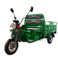 Tricycle Listrik Ukuran Dapat Disesuaikan 1000W dengan Kotak Kargo untuk Penggunaan Pertanian