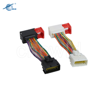 Pabrik disesuaikan semua jenis Auto kawat Harness elektronik kabel konektor perakitan