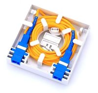 Caja de terminales de fibra óptica Ftth, 2 puertos, 86 Panel de pared, 2 núcleos, roseta SC interior, 86*86mm, placa frontal montada en la pared SC Pigtail 0,9mm