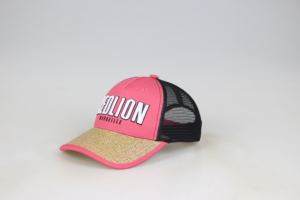 <span class=keywords><strong>Lion</strong></span> topi bordir huruf depan Trucker, dengan kain jala topi 5 Panel untuk olahraga luar ruangan kasual perjalanan - Product Image 2
