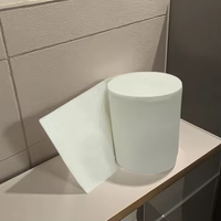 Fabricant de papier toilette OEM, rouleaux de papier toilette doux en pâte de bois vierge 3 plis, haute qualité, prix bas