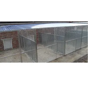 Cage de chenil en métal robuste pour chien et Animal de compagnie, Design personnalisé en usine, meilleur prix (10 pieds)