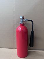 Usine CE ISO9001 Extincteur CO2 en aluminium Extincteur portable Équipement d'incendie Logo personnalisé