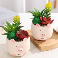 Ensemble créatif de plantes succulentes en céramique avec pot en forme de cochon mignon, plantes vertes pour bureau, peinture d'animaux de dessin animé