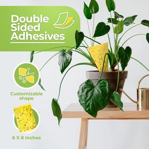 Trampas Adhesivas Amarillas <span class=keywords><strong>Ultra</strong></span> Resistentes, Doble Cara, Resistentes al Sol y la Humedad, para Agricultura, Invernaderos y Granjas - Product Image 4
