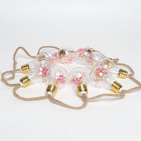 Lumière LED à piles avec ampoule en plastique, décoration de fleurs séchées, lumières LED pour décoration de mariage
