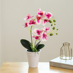 Phalaenopsis Kunstmatige Ingemaakte Kantoordecoratie Kleine Potfotografie Bonsai Groene Plant Decoratieve Potten - Product Image 4