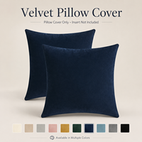 Housse de coussin carrée en velours OEM ODM, couleur unie