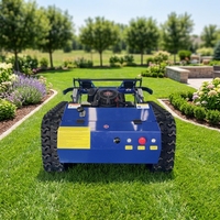 Tondeuse à gazon robotisée industrielle télécommandée, moteur à essence, chenilles, pour jardin, ferme, terrain accidenté, directement de l'usine