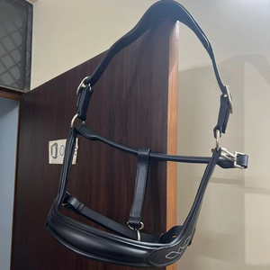 Nueva y Exclusiva Diadema de Cuero Hecha a Mano con Cristales y Pedrería para Caballo, Elegante, Personalizable en Color y Tamaño - Product Image 1