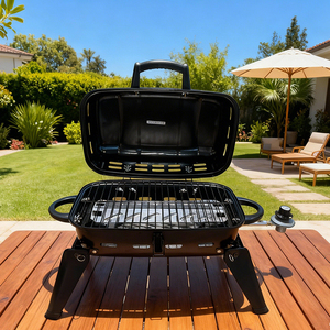 Petit <span class=keywords><strong>barbecue</strong></span> au <span class=keywords><strong>gaz</strong></span> propane compact, gril au <span class=keywords><strong>gaz</strong></span> LP pour le <span class=keywords><strong>camping</strong></span> en plein air, le jardin, les pique-niques, les fêtes de jardin, la gastronomie - Product Image 1