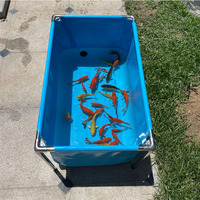 Piscine à poissons bleue de réservoir de pisciculture de bâche de PVC de 600gsm 760gsm pliable fait sur commande