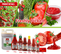 Sauce tomate et ketchup fraîchement pressés, sucrés et acidulés, personnalisables en usine, en bouteille