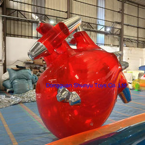 Shunyu Заказная надувная прозрачная модель красного сердца для медицинского Выставочного Мероприятия - Product Image 2
