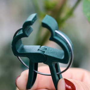 10 pinces de fixation réutilisables vertes pour plantes de jardin, légumes de serre, fleurs, tiges, vignes, supports de raisin, attaches rapides - Product Image 2