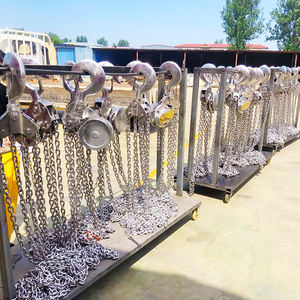 2 Ton 304 rantai tahan karat Hoist - CE bersertifikat, <span class=keywords><strong>3m</strong></span> <span class=keywords><strong>Lift</strong></span> untuk penggunaan laut - Product Image 5