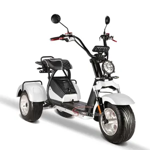 电动三轮车欧盟仓库城市可可4000w 3轮快速电动滑板车60v 40ah电池电动斩波器摩托车