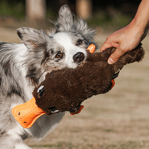 Nuova forma di simulazione ornitorinco cane peluche sound <span class=keywords><strong>toy</strong></span> pet per alleviare la noia giocattolo interattivo prodotti per animali domestici - Product Image 1